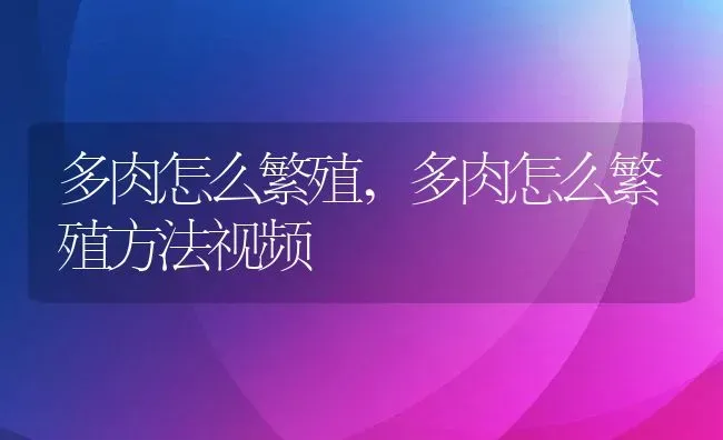 多肉怎么繁殖,多肉怎么繁殖方法视频 | 养殖科普