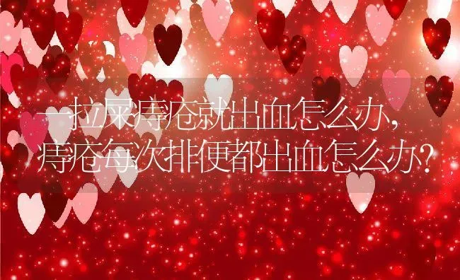 一拉屎痔疮就出血怎么办,痔疮每次排便都出血怎么办？ | 养殖学堂