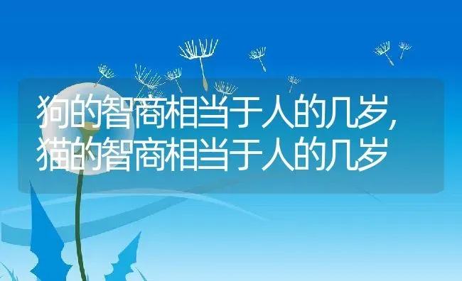 狗的智商相当于人的几岁,猫的智商相当于人的几岁 | 养殖资料