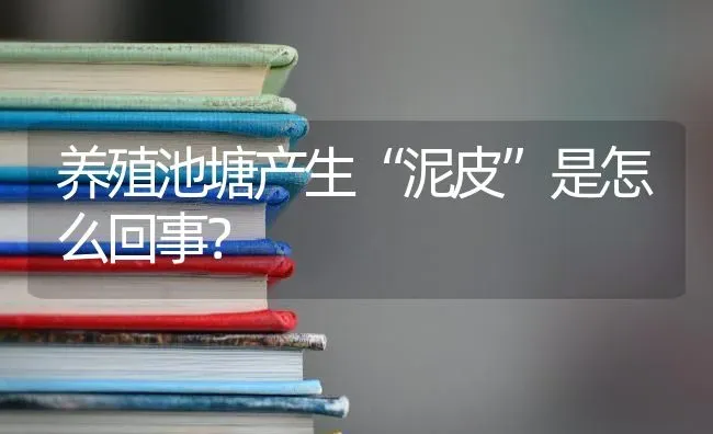 养殖池塘产生“泥皮”是怎么回事? | 养殖技术大全