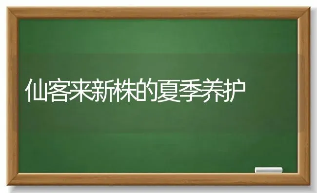 夏季高温怎样正确使用农机 | 养殖技术大全