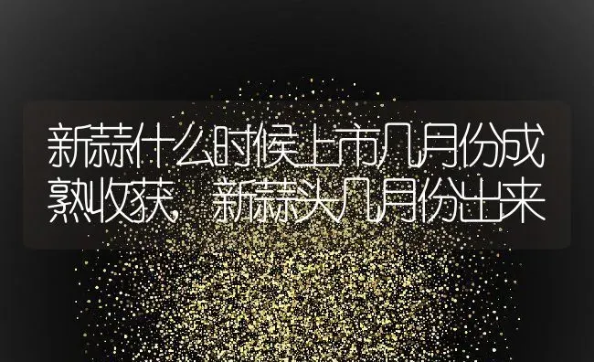 新蒜什么时候上市几月份成熟收获,新蒜头几月份出来 | 养殖学堂