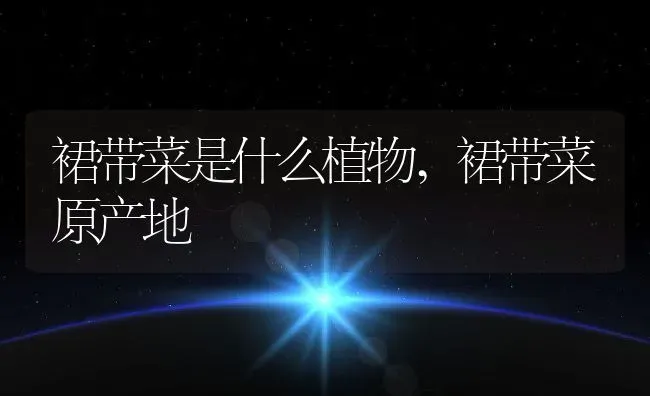 裙带菜是什么植物,裙带菜原产地 | 养殖学堂