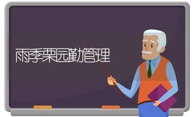 雨季栗园勤管理 | 养殖知识