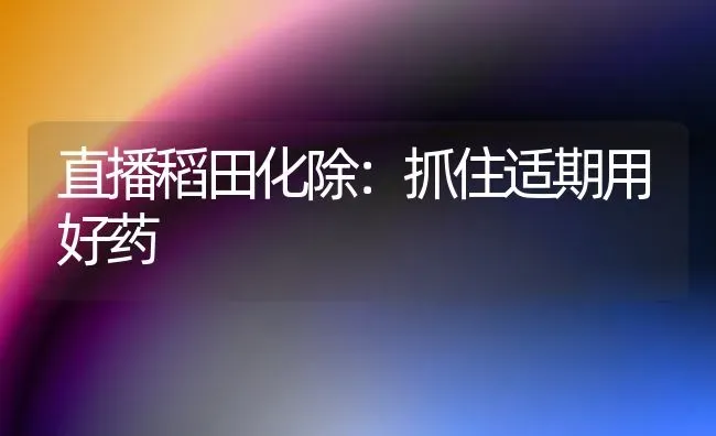 直播稻田化除：抓住适期用好药 | 养殖技术大全