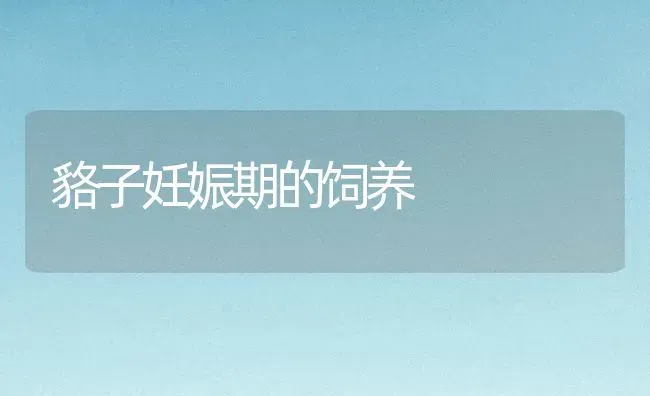 貉子妊娠期的饲养 | 养殖技术大全