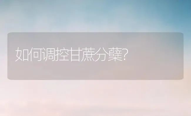 如何调控甘蔗分蘖? | 养殖知识