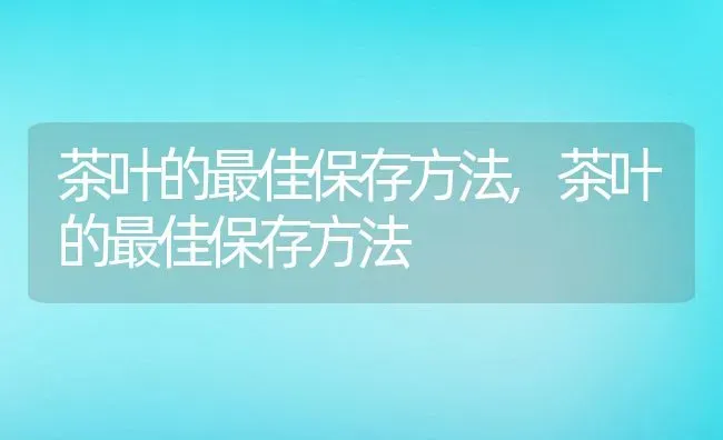 茶叶的最佳保存方法,茶叶的最佳保存方法 | 养殖科普