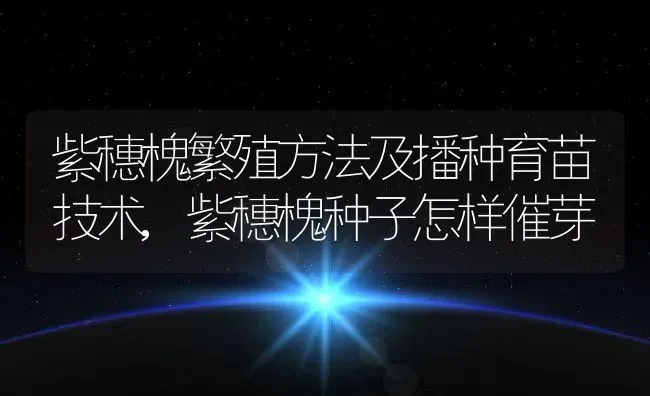 紫穗槐繁殖方法及播种育苗技术,紫穗槐种子怎样催芽 | 养殖学堂