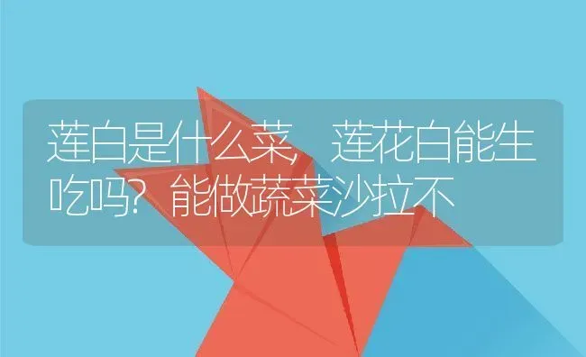 莲白是什么菜,莲花白能生吃吗?能做蔬菜沙拉不 | 养殖学堂