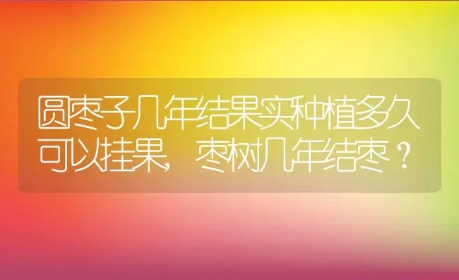 圆枣子几年结果实种植多久可以挂果,枣树几年结枣？ | 养殖学堂