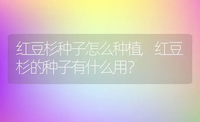 红豆杉种子怎么种植,红豆杉的种子有什么用？ | 养殖科普