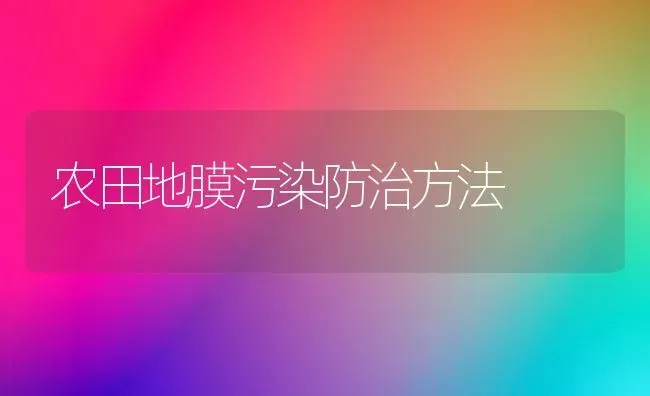 农田地膜污染防治方法 | 养殖技术大全