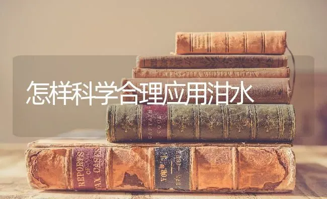 怎样科学合理应用泔水 | 养殖知识