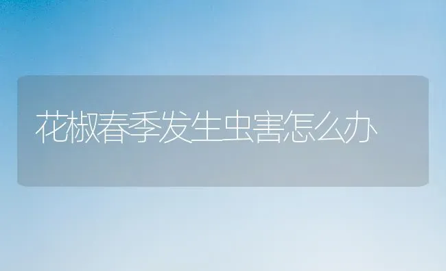 花椒春季发生虫害怎么办 | 养殖知识