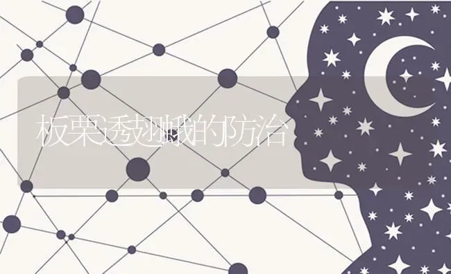 板栗透翅蛾的防治 | 养殖技术大全