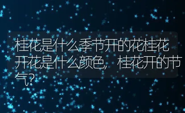 狗狗不喝水怎么办,泰迪狗狗不喝水怎么办 | 养殖科普