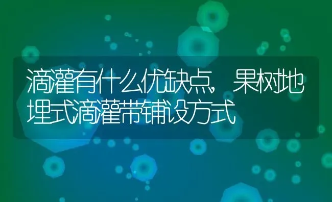滴灌有什么优缺点,果树地埋式滴灌带铺设方式 | 养殖学堂