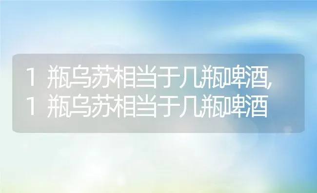 1瓶乌苏相当于几瓶啤酒,1瓶乌苏相当于几瓶啤酒 | 养殖科普