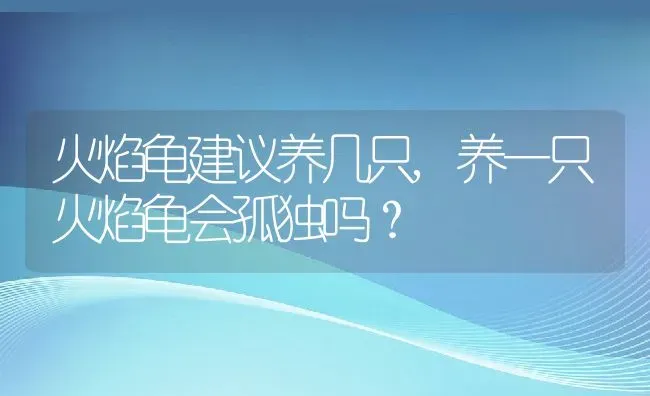 火焰龟建议养几只,养一只火焰龟会孤独吗？ | 养殖学堂