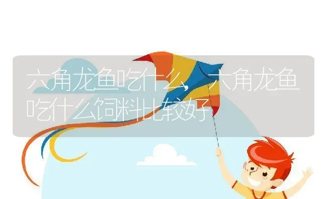六角龙鱼吃什么,六角龙鱼吃什么饲料比较好 | 养殖学堂