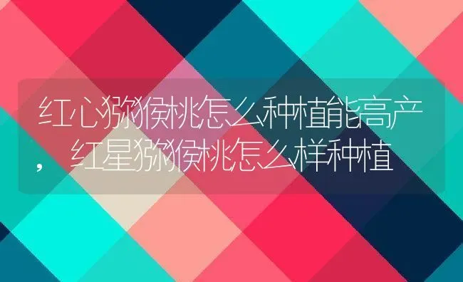 红心猕猴桃怎么种植能高产,红星猕猴桃怎么样种植 | 养殖学堂