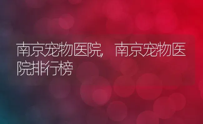 南京宠物医院,南京宠物医院排行榜 | 养殖资料