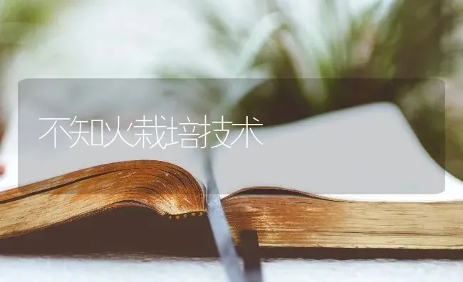 不知火栽培技术 | 养殖技术大全