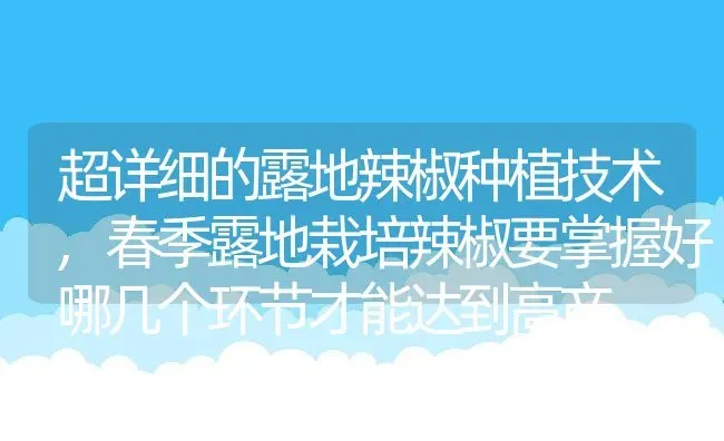 超详细的露地辣椒种植技术,春季露地栽培辣椒要掌握好哪几个环节才能达到高产 | 养殖学堂