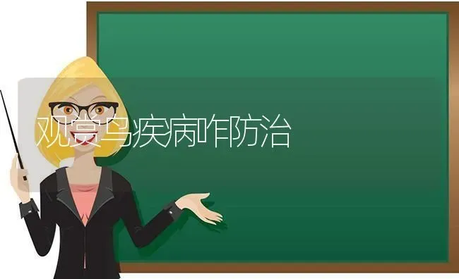 观赏鸟疾病咋防治 | 养殖技术大全
