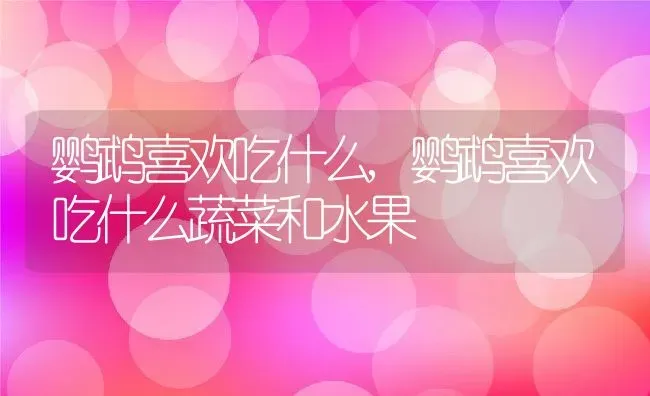 鹦鹉喜欢吃什么,鹦鹉喜欢吃什么蔬菜和水果 | 养殖资料