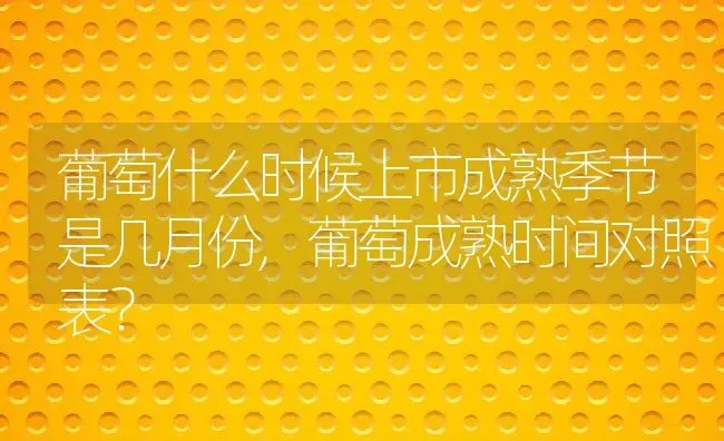 葡萄什么时候上市成熟季节是几月份,葡萄成熟时间对照表？ | 养殖学堂