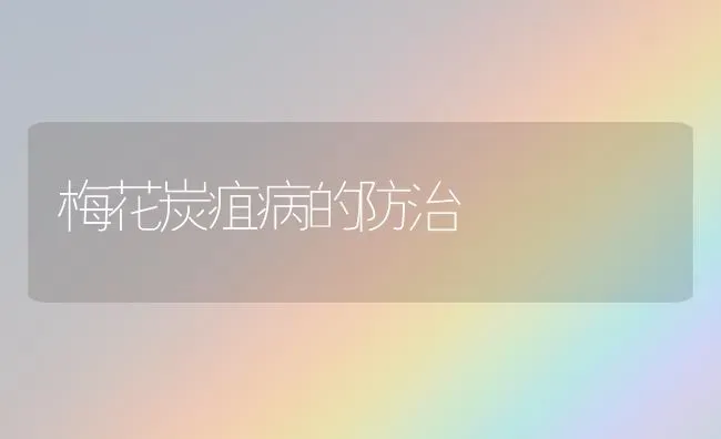 梅花炭疽病的防治 | 养殖知识