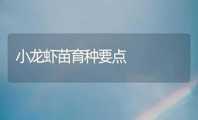 小龙虾苗育种要点 | 养殖技术大全