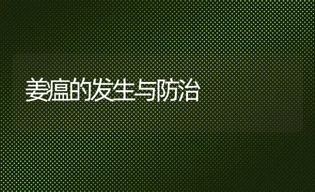 姜瘟的发生与防治 | 养殖知识