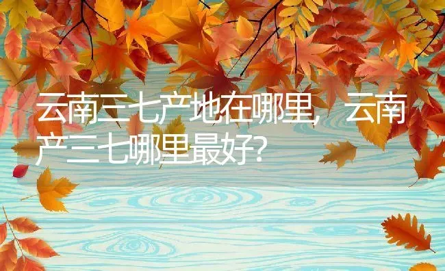 云南三七产地在哪里,云南产三七哪里最好？ | 养殖学堂