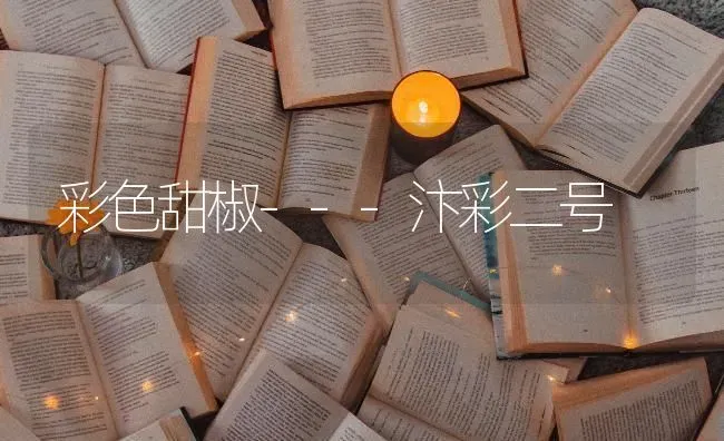 彩色甜椒---汴彩二号 | 养殖知识