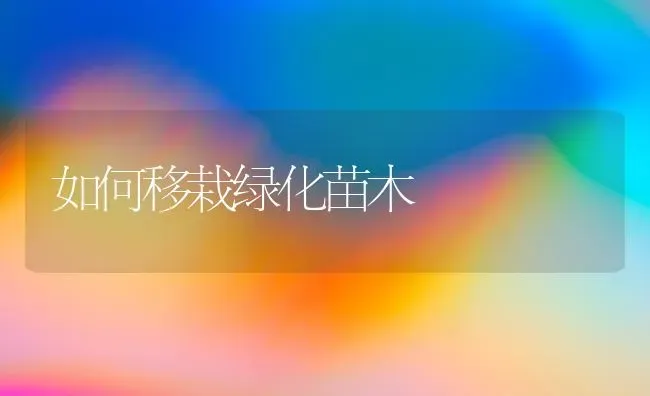 如何移栽绿化苗木 | 养殖技术大全