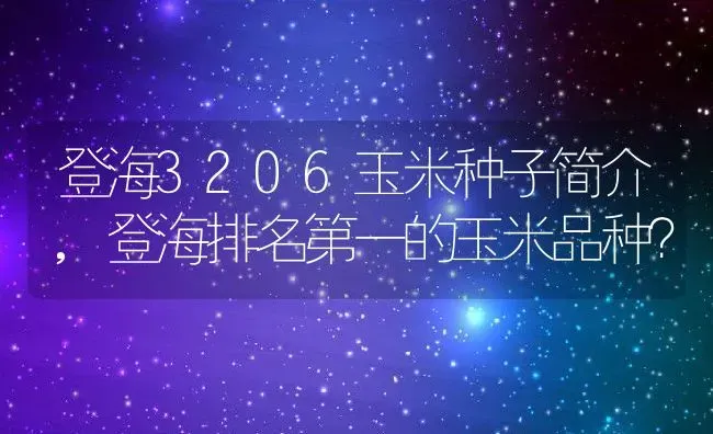 登海3206玉米种子简介,登海排名第一的玉米品种？ | 养殖科普