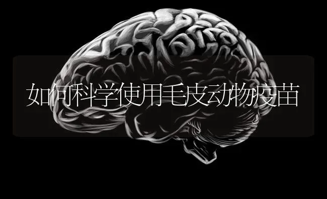 如何科学使用毛皮动物疫苗 | 养殖知识