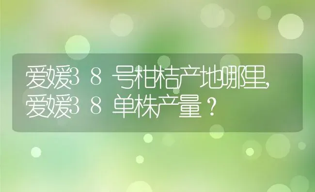 爱媛38号柑桔产地哪里,爱媛38单株产量？ | 养殖科普