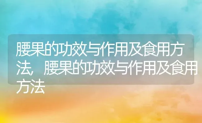 腰果的功效与作用及食用方法,腰果的功效与作用及食用方法 | 养殖科普