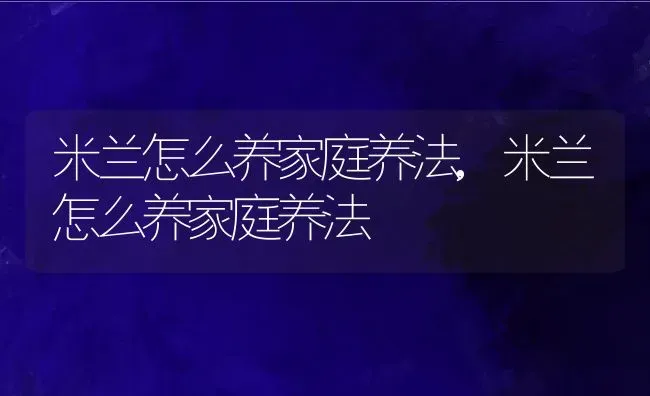 米兰怎么养家庭养法,米兰怎么养家庭养法 | 养殖科普