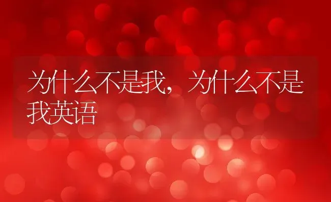 为什么不是我,为什么不是我英语 | 养殖科普