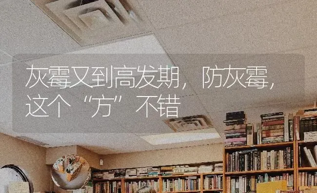 灰霉又到高发期,防灰霉,这个“方”不错 | 养殖技术大全