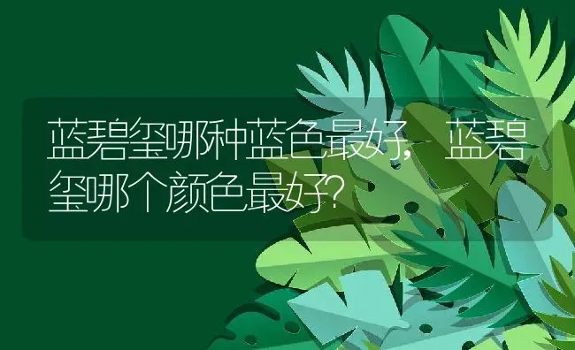 蓝碧玺哪种蓝色最好,蓝碧玺哪个颜色最好？ | 养殖学堂