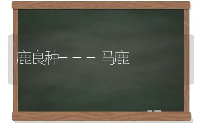 鹿良种---马鹿 | 养殖技术大全