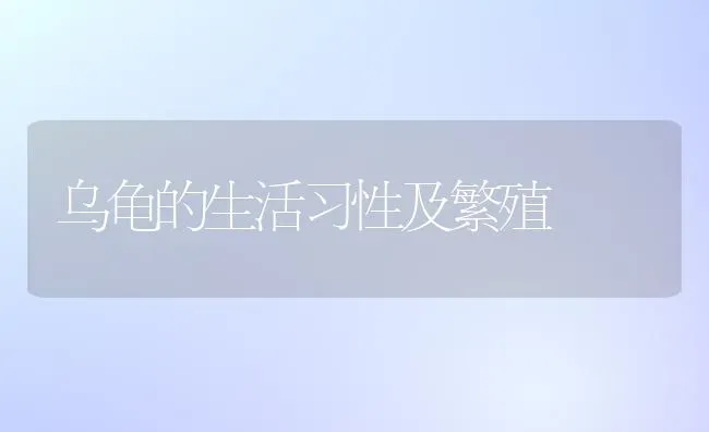 乌龟的生活习性及繁殖 | 养殖技术大全