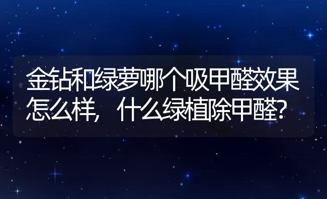 金钻和绿萝哪个吸甲醛效果怎么样,什么绿植除甲醛？ | 养殖学堂