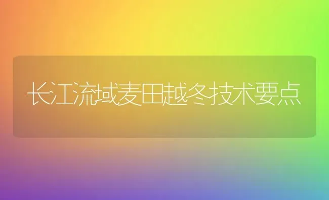 长江流域麦田越冬技术要点 | 养殖技术大全